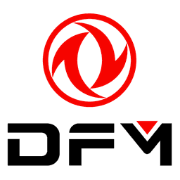 DFM